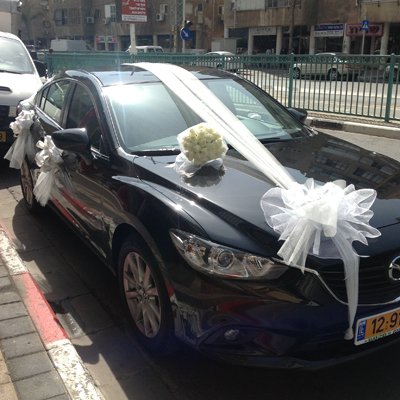 5 - פרחי שובל