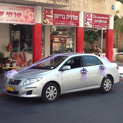 7 - פרחי שובל