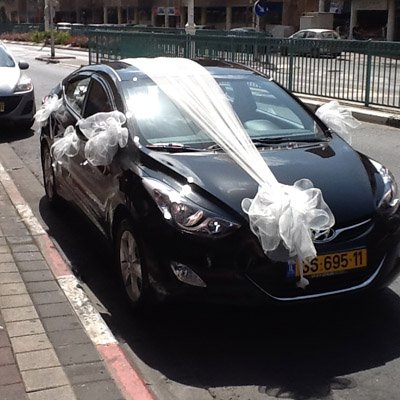 9 - פרחי שובל