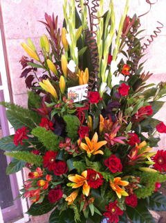 סידור 15 - פרחי ספיר