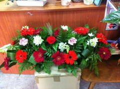 סידור 17 - פרחי ספיר