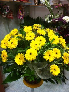 סידור 17 - פרחי ספיר