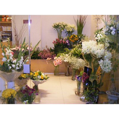 החנות שלנו - פרחי ונילה