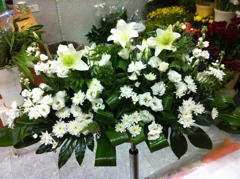 סידור 28 - פרחי ספיר