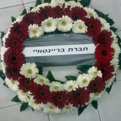 גלגל אבל 3 - פרחי אביה