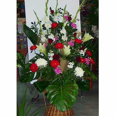 סידור 3 - פרחי ספיר