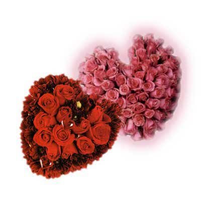 סידור פרחים 31 - פרחי אביה