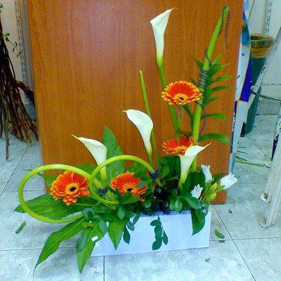 סידור 37 - פרחי ספיר