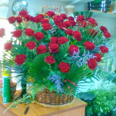 סידור 38 - פרחי ספיר