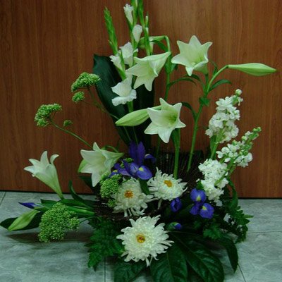 סידור 40 - פרחי ספיר