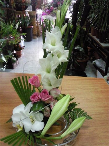 סידור 42 - פרחי ספיר