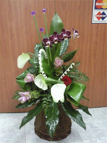 סידור 43 - פרחי ספיר