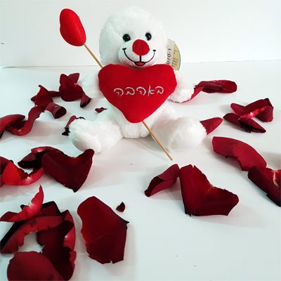 ולנטיין 5 - פרח בר