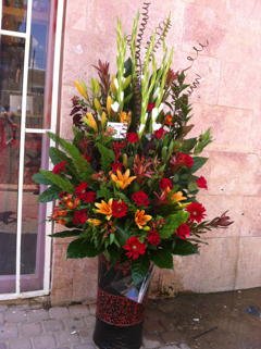 סידור 53 - פרחי ספיר