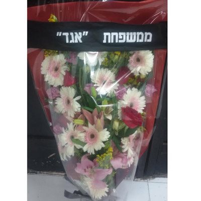 גלגל אבל 6 - פרחי אביה