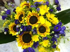 זר 7 - פרחי ספיר