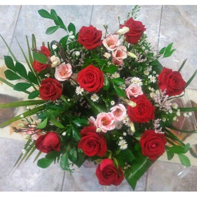 אדום ואוהב - דבי פרחים - קרית ביאליק