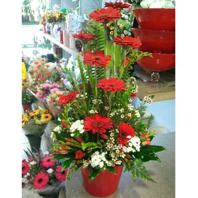 אדום ורומנטי - דבי פרחים