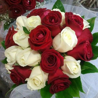 אדום לבן נקי וקלאסי - דבי פרחים