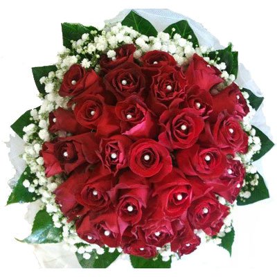 אדום לוהט - דבי פרחים