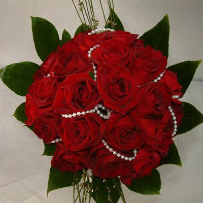 אדום לוהט - דבי פרחים