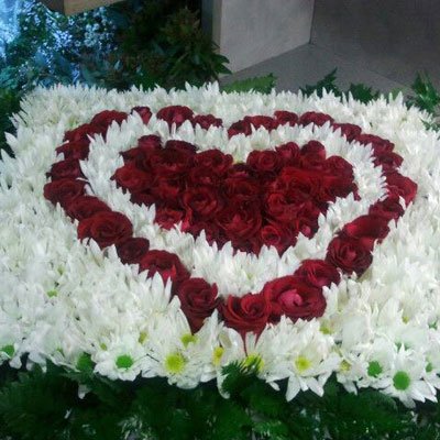 אהבה באדום - דבי פרחים