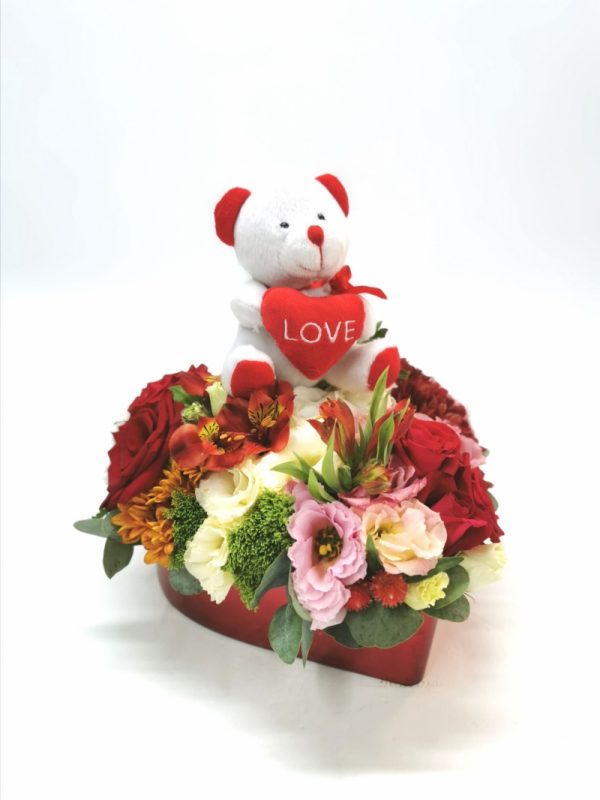 רוח סתיו - אורכידאה