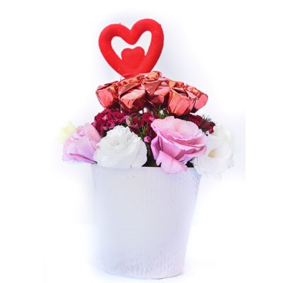 אהבה מתוקה - פרח בר