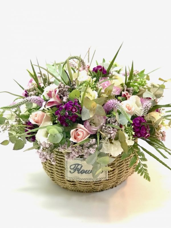 רוח סתיו - אורכידאה