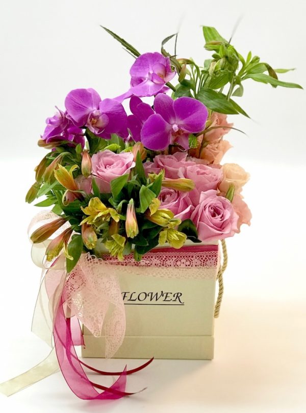 רוח סתיו - אורכידאה