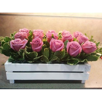 גינת ורדים ורודים - דבי פרחים