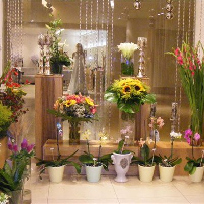 החנות שלנו - פרחי ונילה