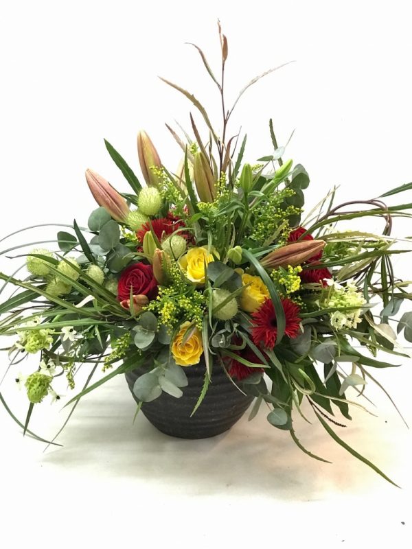 רוח סתיו - אורכידאה