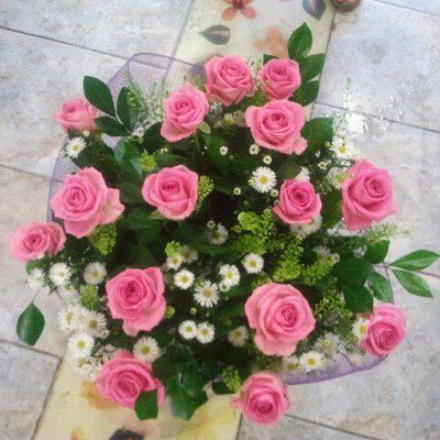 ורדים ורודים - דבי פרחים - קרית ביאליק