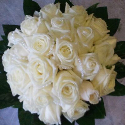ורדים לבנים - דבי פרחים