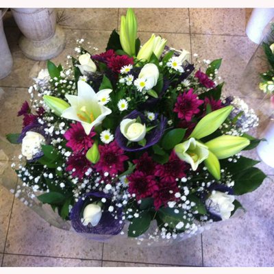 אביבית - לה רוז דה פריז