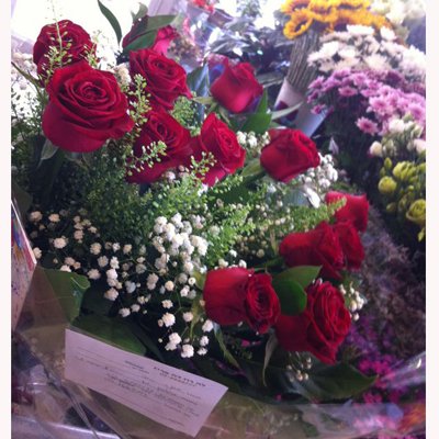 עיצוב אדום - לה רוז דה פריז