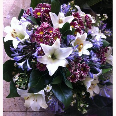 שושן פורח - לה רוז דה פריז