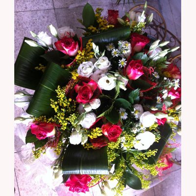 שיפרה - לה רוז דה פריז