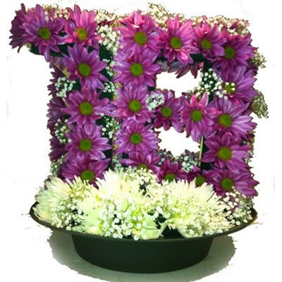 זר אביבים - פרח במדבר