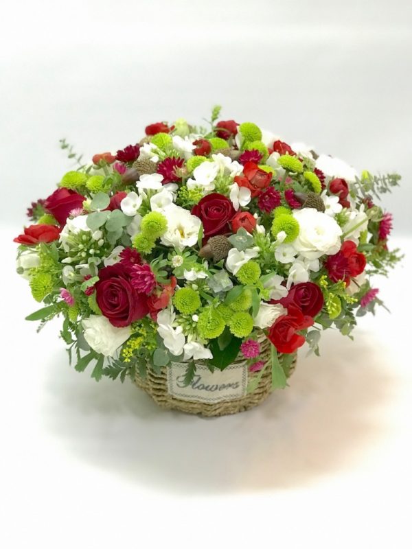 רוח סתיו - אורכידאה