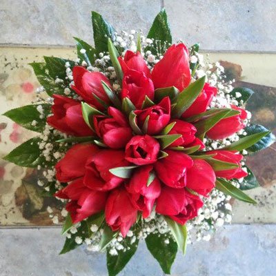 טוליפים אדומים - דבי פרחים