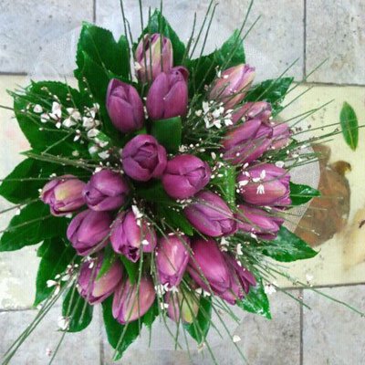 טוליפים סגולים ורותם - דבי פרחים