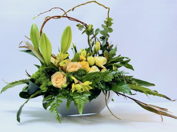 רוח סתיו - אורכידאה