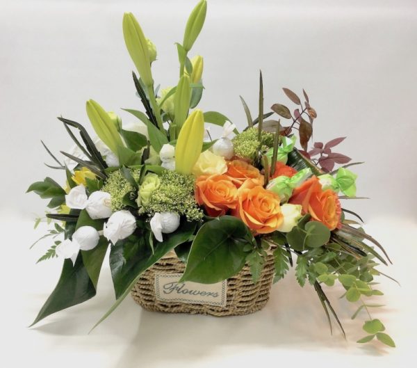 רוח סתיו - אורכידאה