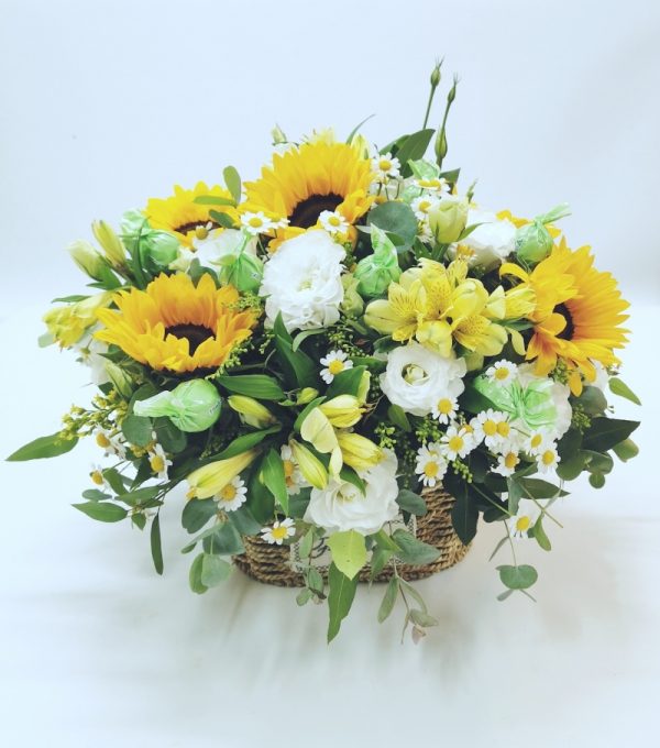 רוח סתיו - אורכידאה