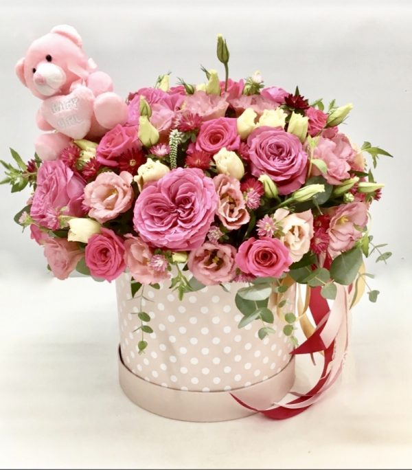 רוח סתיו - אורכידאה