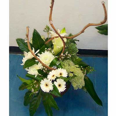 סידור 5 - פרחי ספיר