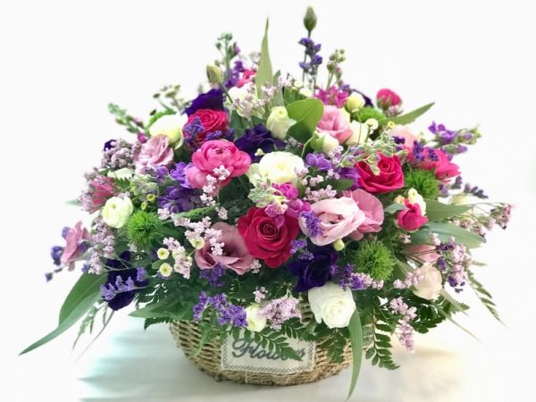 רוח סתיו - אורכידאה