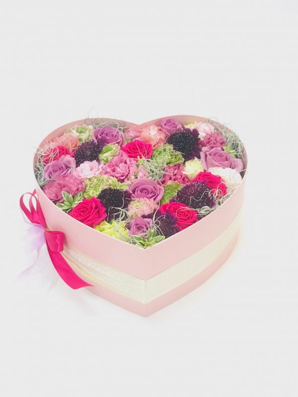 רוח סתיו - אורכידאה